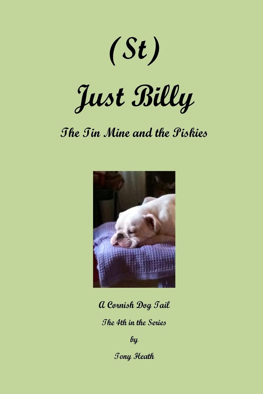 (St) Just Billy - The Tin Mine and the Piskies (A Cornish Dog Tail, Band 4) Novels & Short Stories