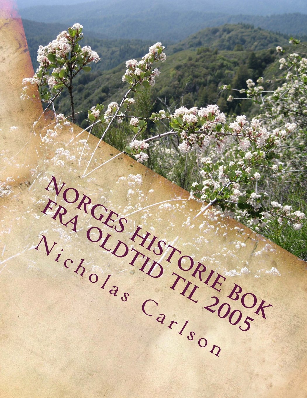 Norges Historie Bok Fra Oldtid til 2005 Politics & History