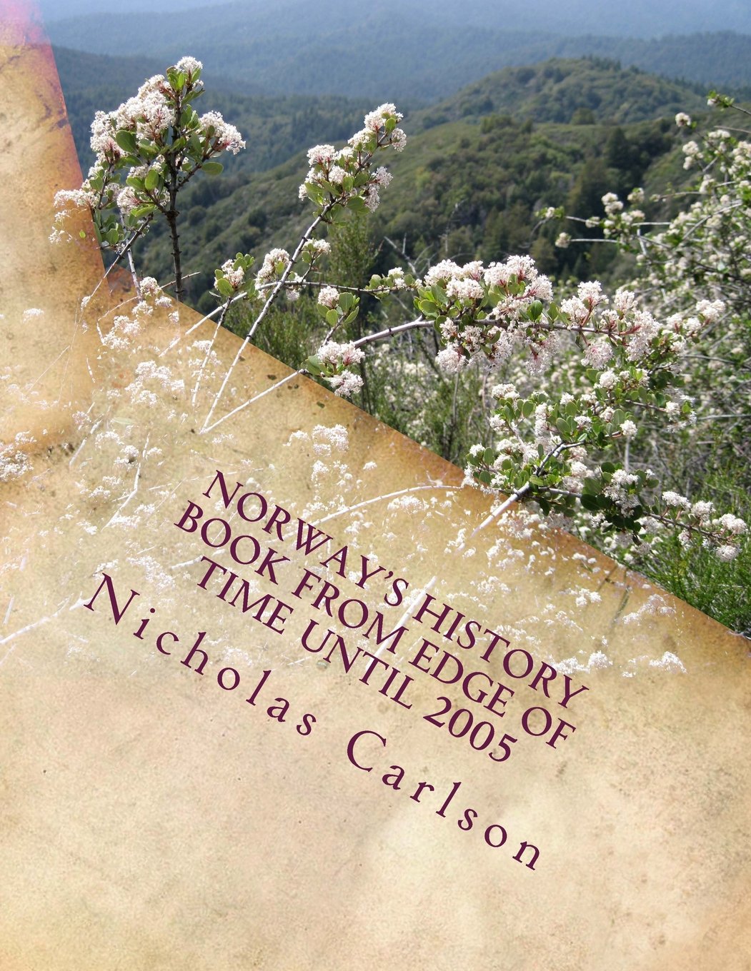 Norway's History Book From Edge of Time until 2005 Politics & History