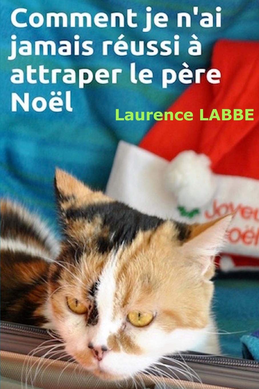 Comment je n'ai jamais réussi à attraper le père Noël Contemporary literature