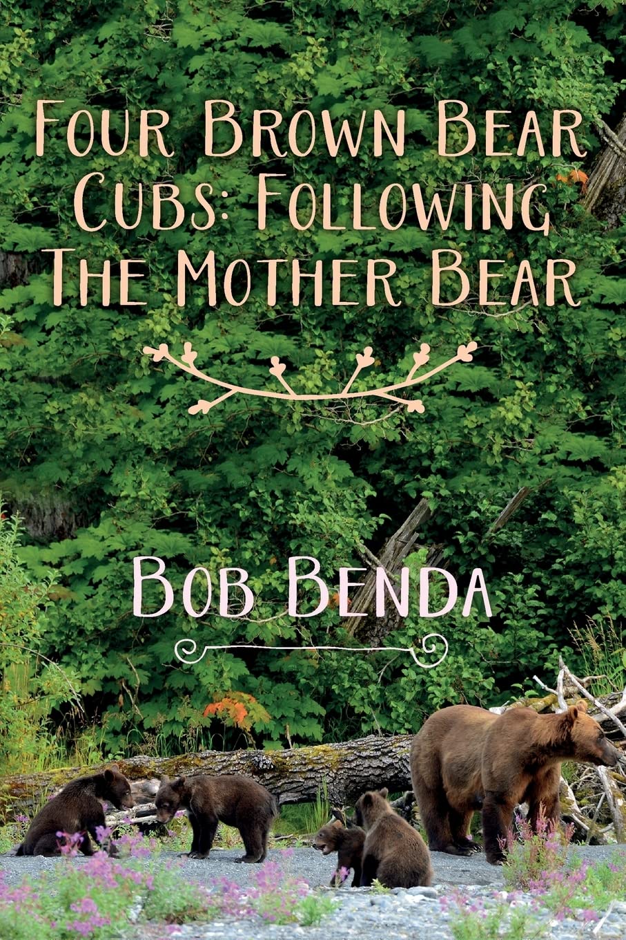 Four Brown Bear Cubs: Following The Mother Bear Mathematics
