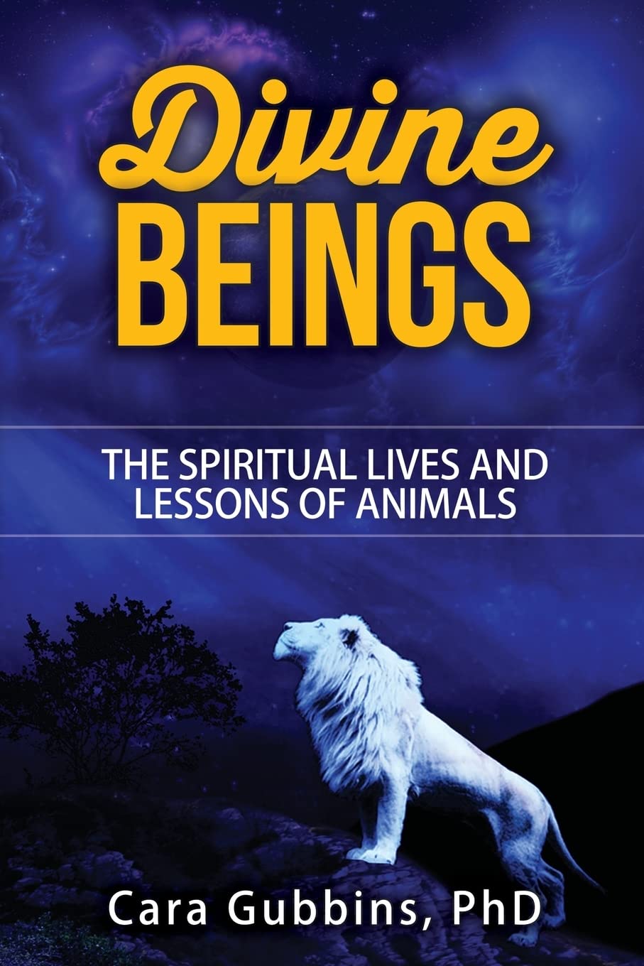 Divine Beings: The Spiritual LIves and Lessons of Animals (Teachings from Animal Totems and Spirit Guides, Band 3) Mathematics