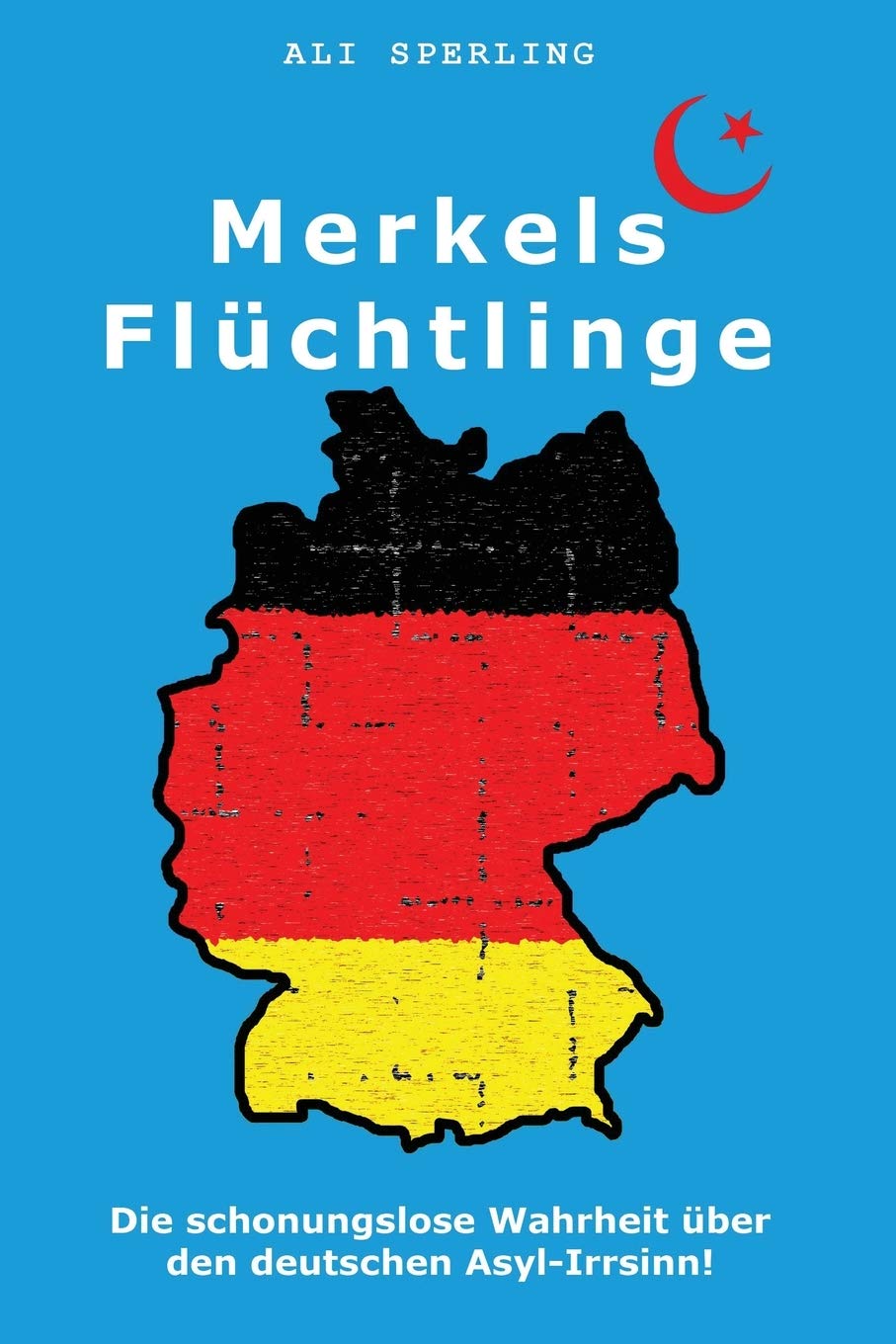Merkels Flüchtlinge: Die schonungslose Wahrheit über den deutschen Asyl-Irrsinn! Social Sciences