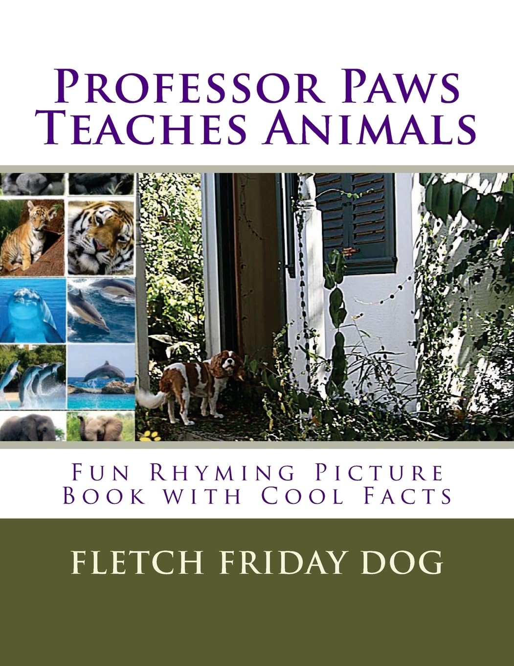 Children's Book: Professor Paws Teaches Animals l Fun Rhyming Picture Book l Cool Facts l (ages 3-5) (ages 4-8) (ages 6-9) l Book Series for Kids l Look & Learn Non-fiction