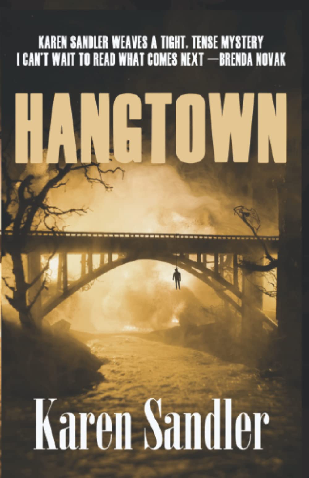 Hangtown (Janelle Watkins Investigations, Band 2) Detective & CSI