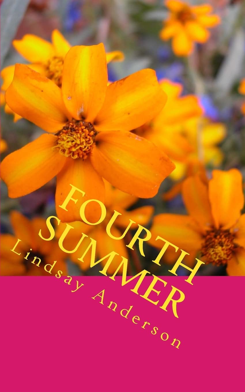 Fourth Summer (The Recovery Files, Band 4) Fiction