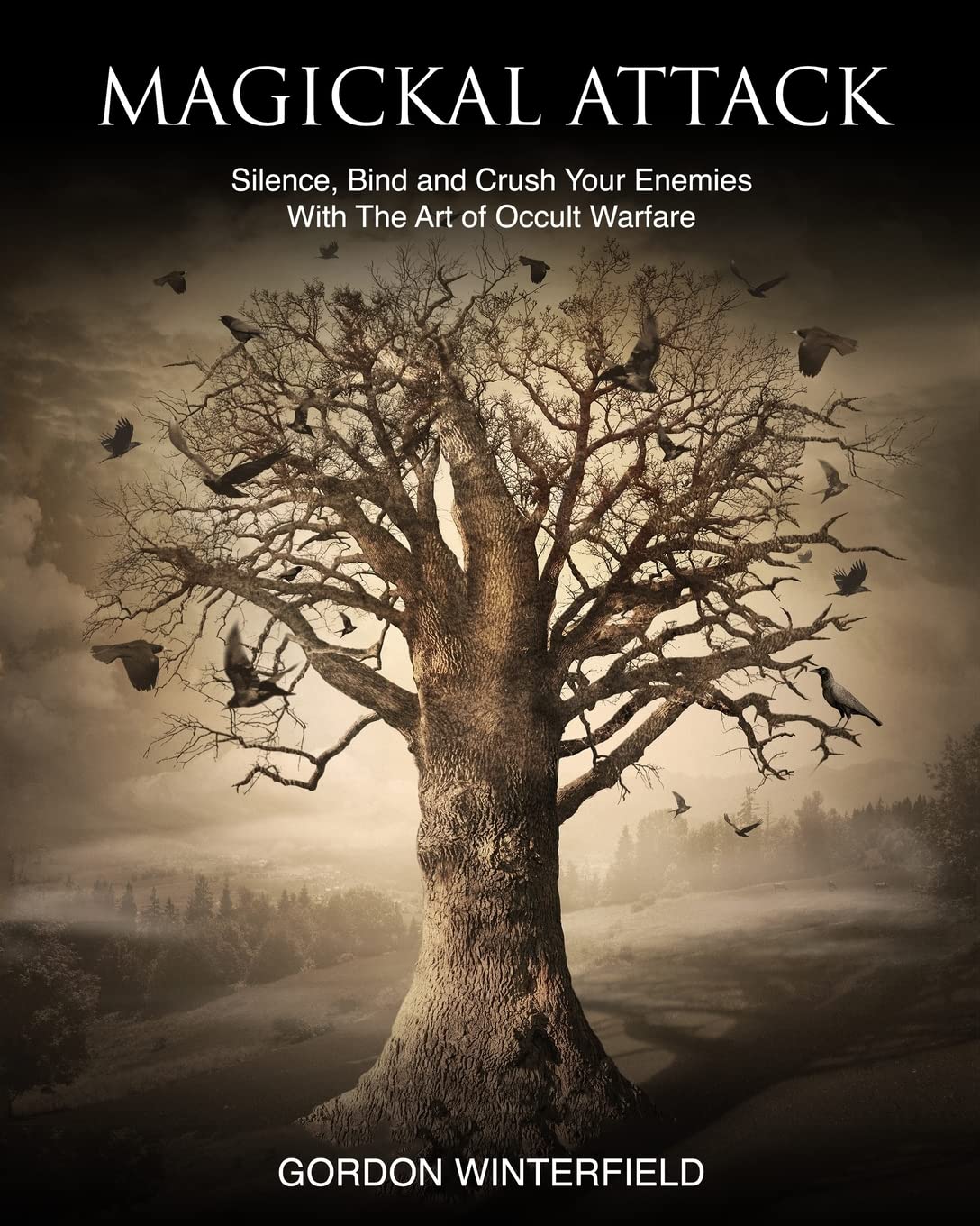 Magickal Attack: Silence, Bind and Crush Your Enemies With The Art of Occult Warfare (The Gallery of Magick) Religion & Esotericism