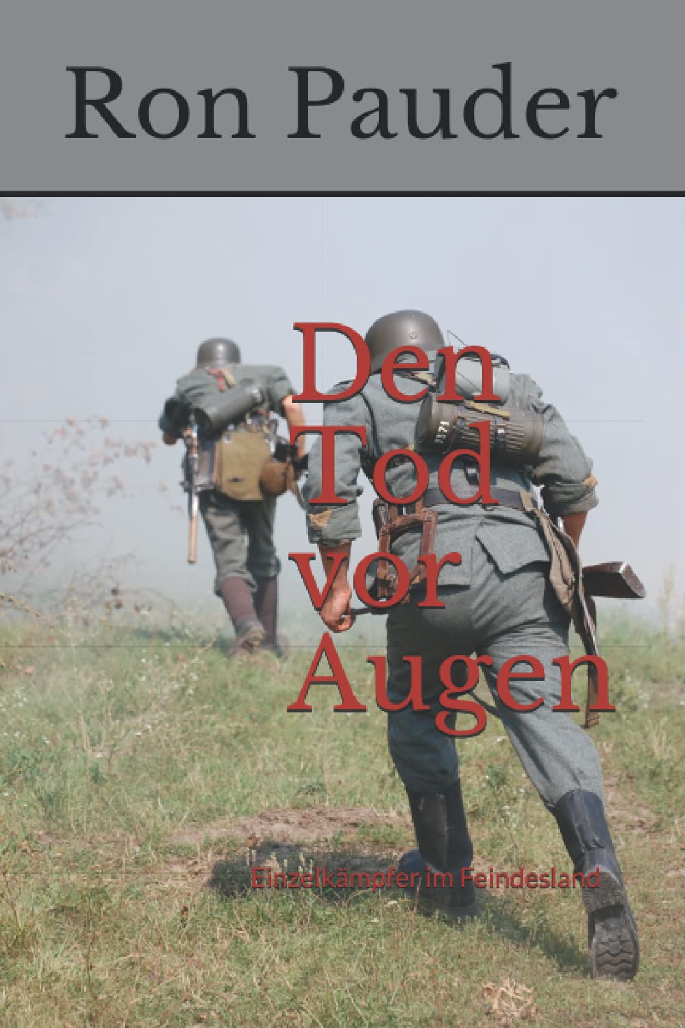 Den Tod vor Augen: Die letzten Tage des 2. Weltkrieges Contemporary literature