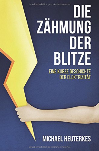 Die Zähmung der Blitze: Eine kurze Geschichte der Elektrizität Business & Technology