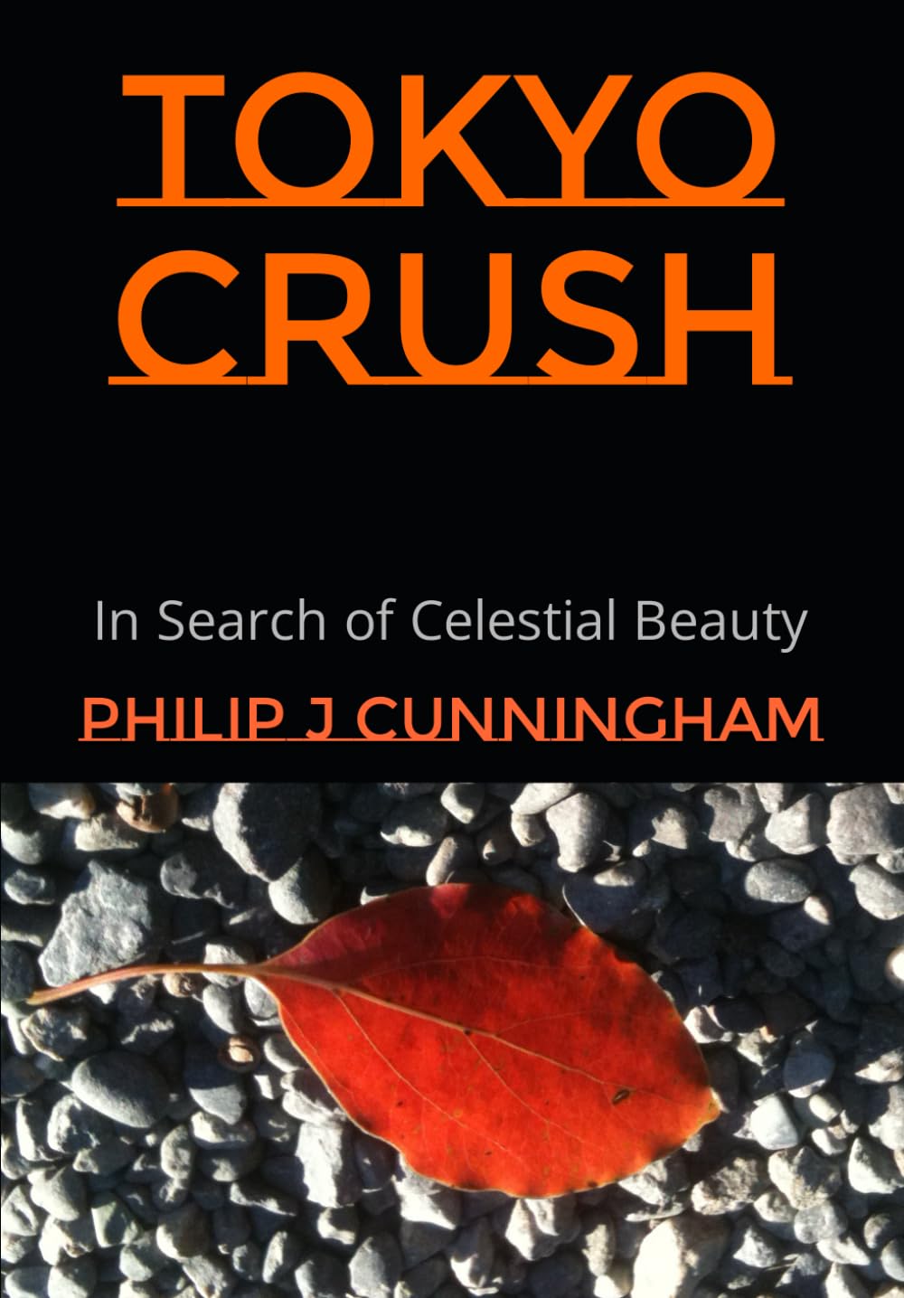 Tokyo Crush: In Search of Celestial Beauty Contemporary literature