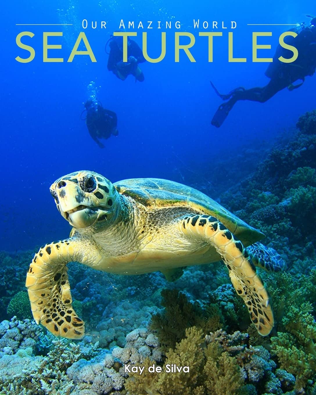 Sea Turtles: Amazing Pictures & Fun Facts on Animals in Nature (Our Amazing World Series, Band 4) Non-fiction