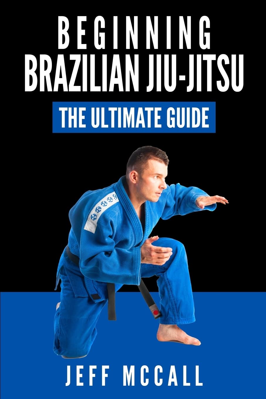 Brazilian Jiu Jitsu: The Ultimate Guide to Beginning BJJ Leisure & Fun