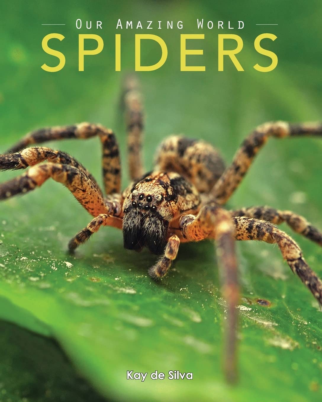 Spiders: Amazing Pictures & Fun Facts on Animals in Nature (Our Amazing World Series) Non-fiction