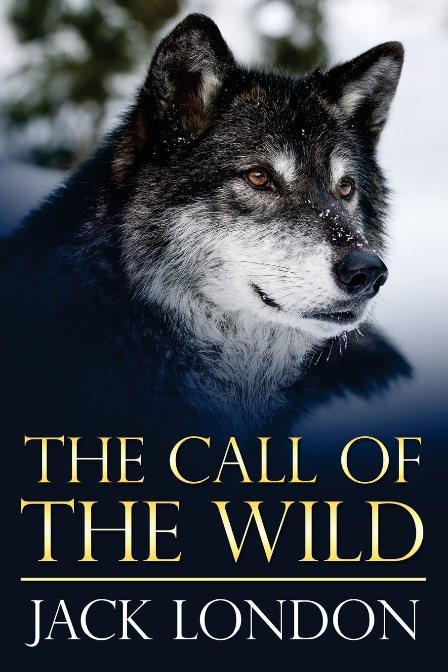 The Call of the Wild: (Mockingbird Classics) Action & Adventure