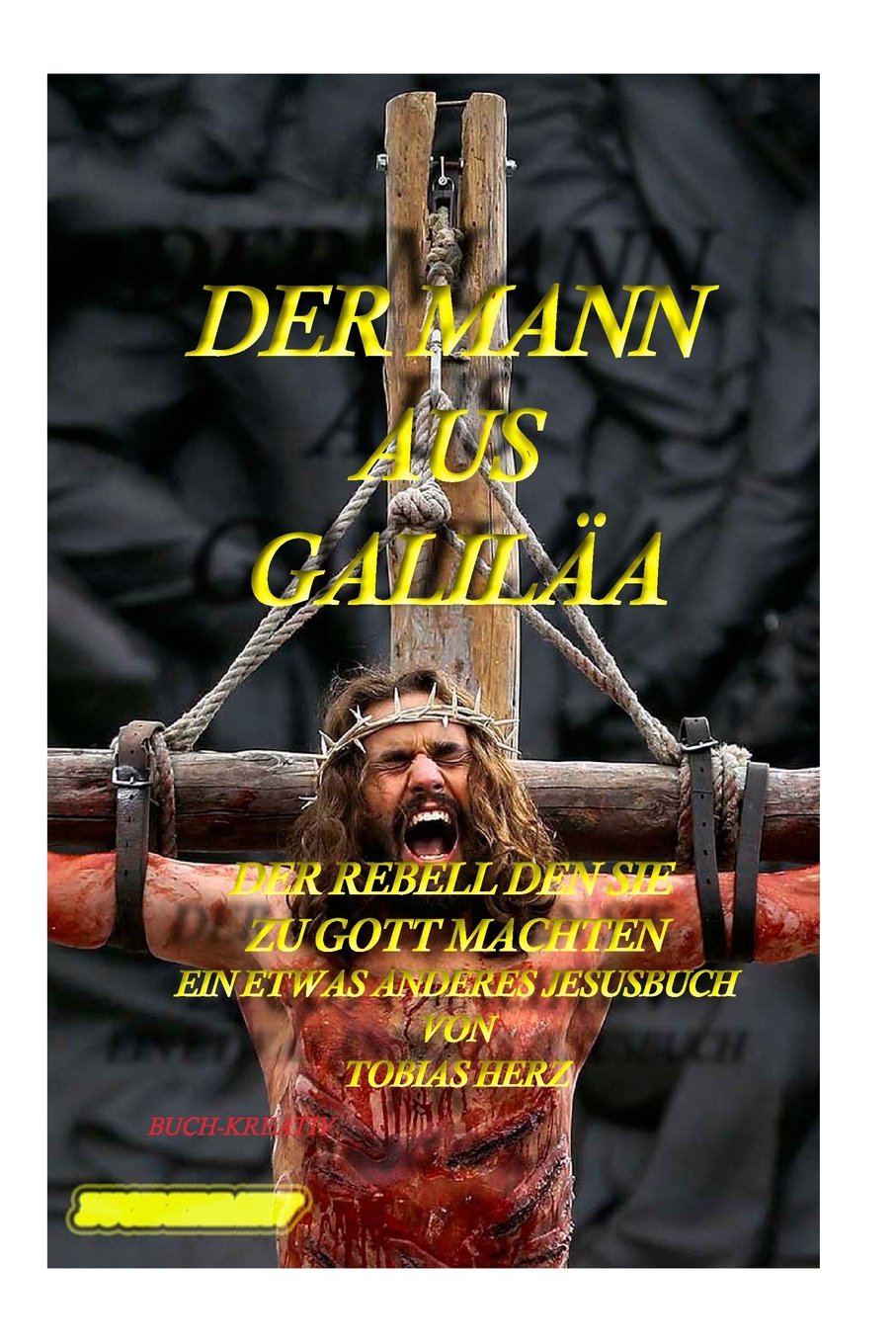 Der Mann aus Galilaea: Ein etwas anderer Jesus Roman Religion & Esotericism
