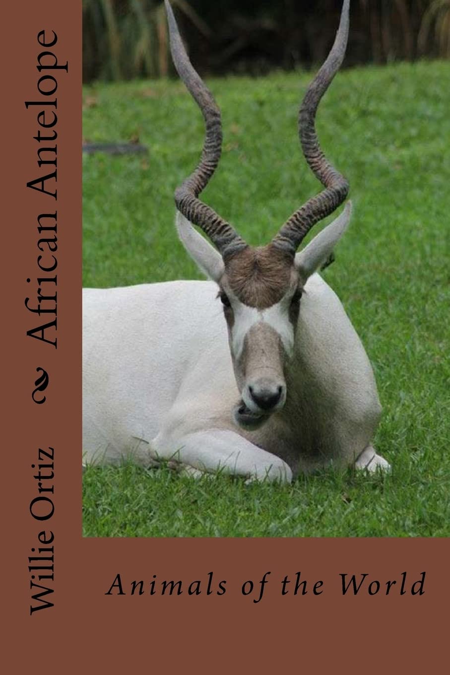 African Antelope: Animals of the World Nature & Animals