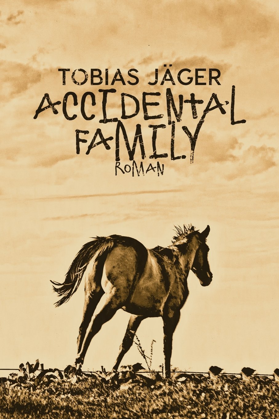 Accidental Family book