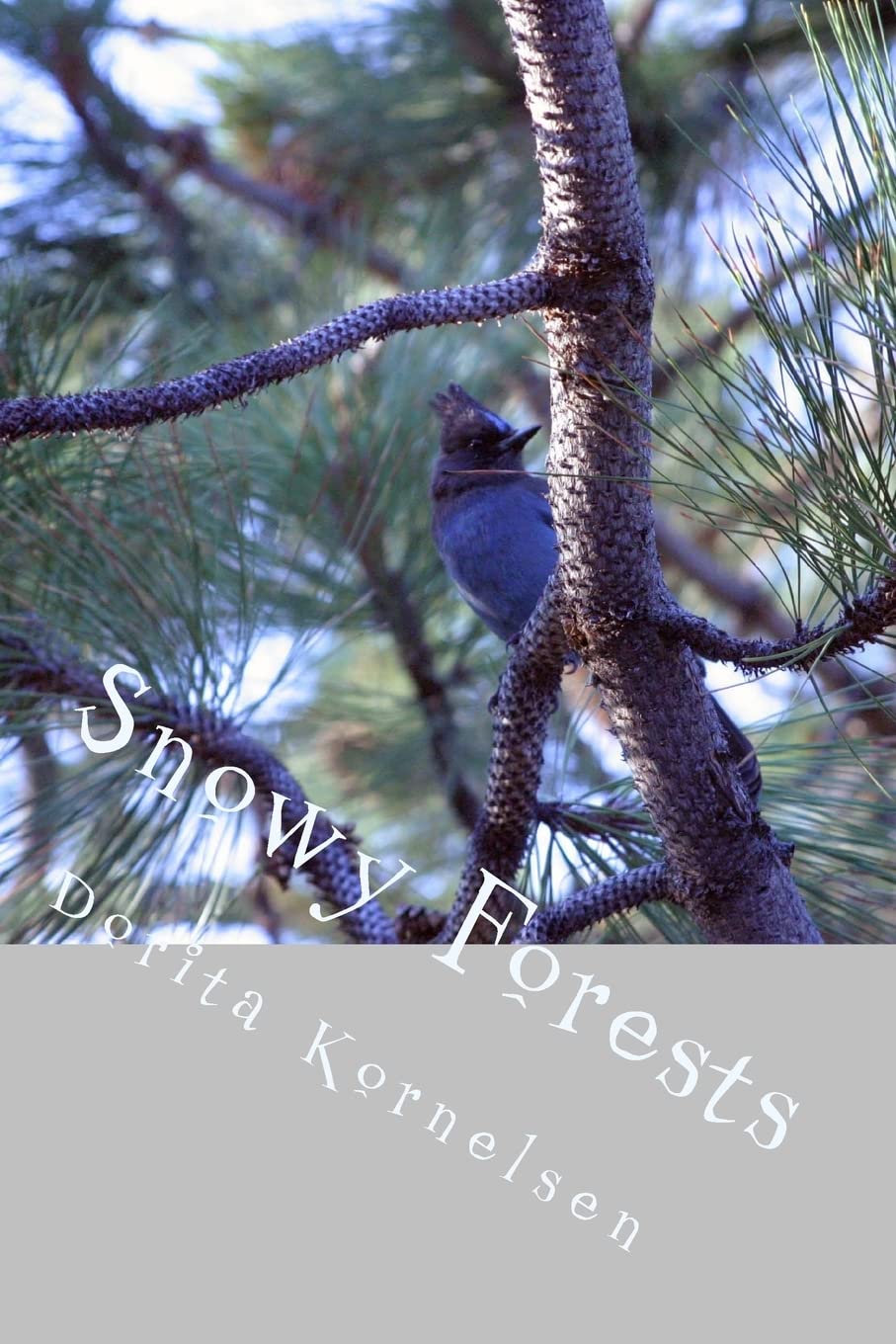 Snowy Forests Religion & Esotericism