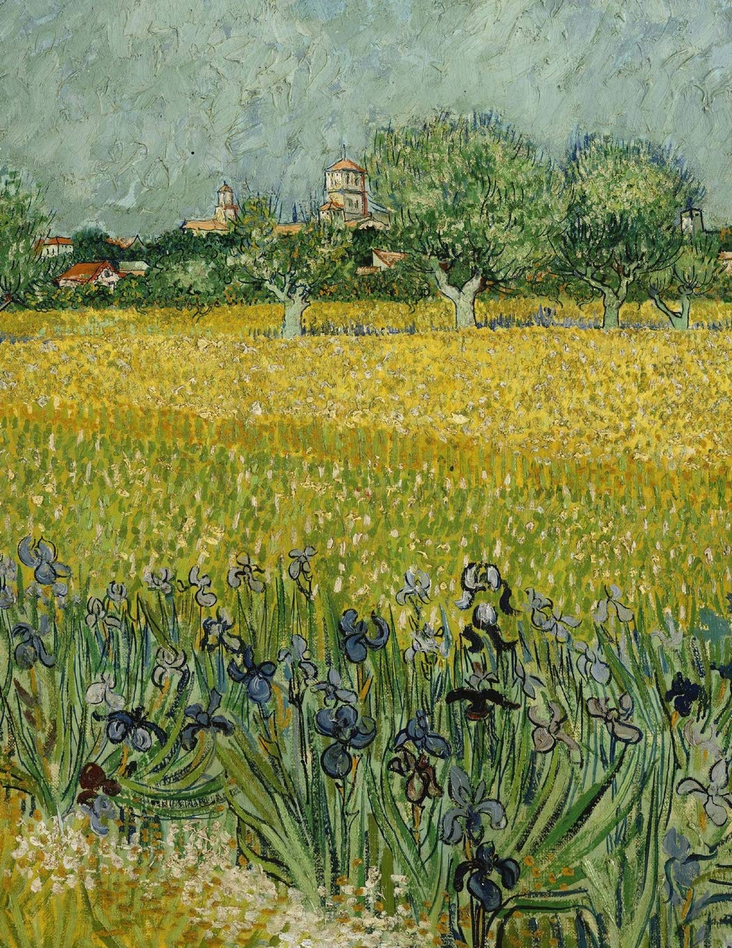 Field with irises near Arles, Vincent van Gogh. Ruled journal: 150 Lined / ruled pages, 8,5x11 inch (21.59 x 27.94 cm) Laminated Film, Art & Culture
