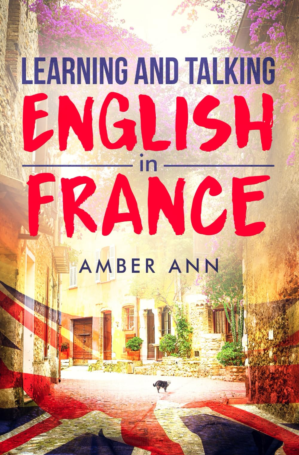 Learning and Talking English in France: Buch in einfachem Englisch - Roman International