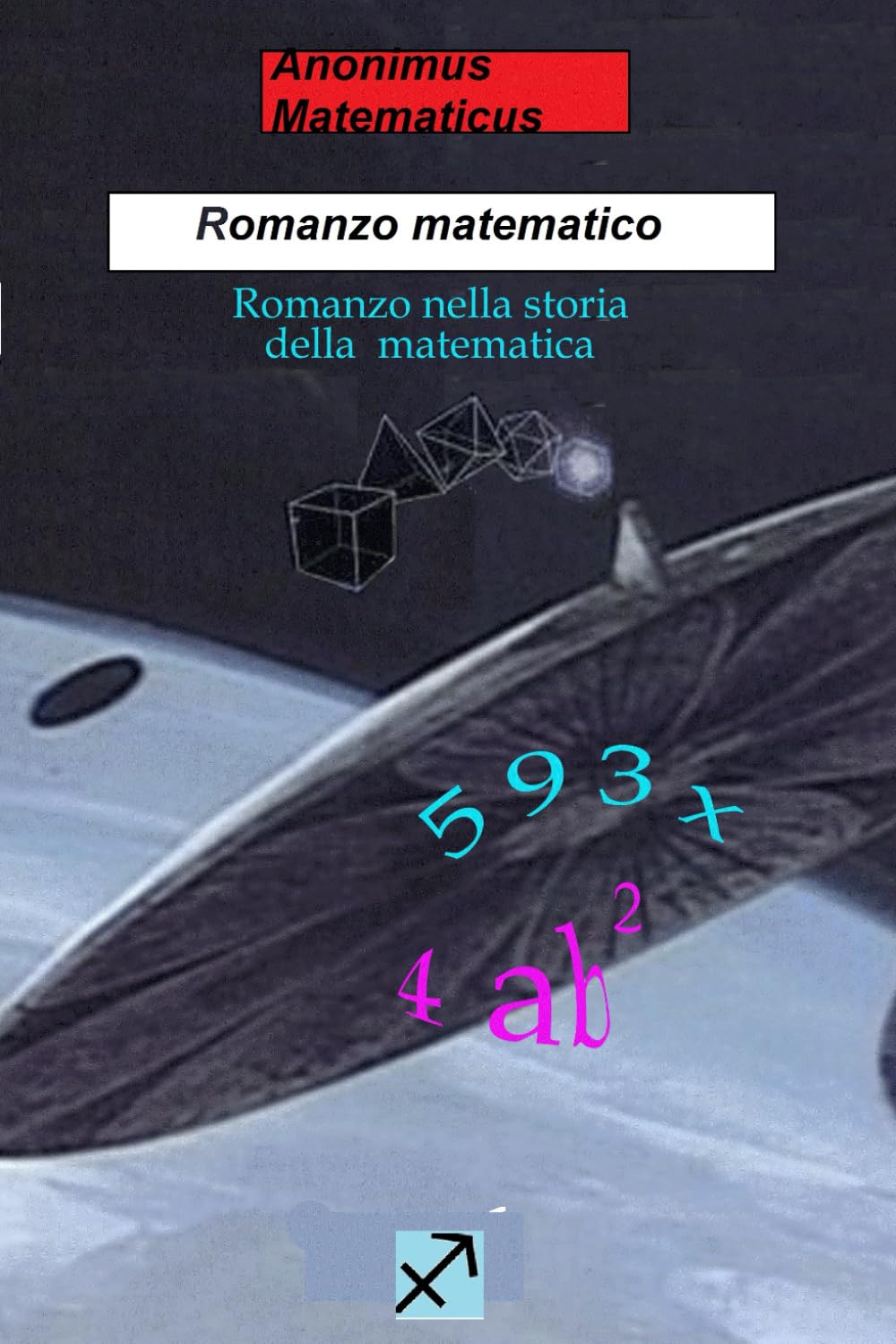 Romanzo matematico: Romanzo nella storia della matematica book