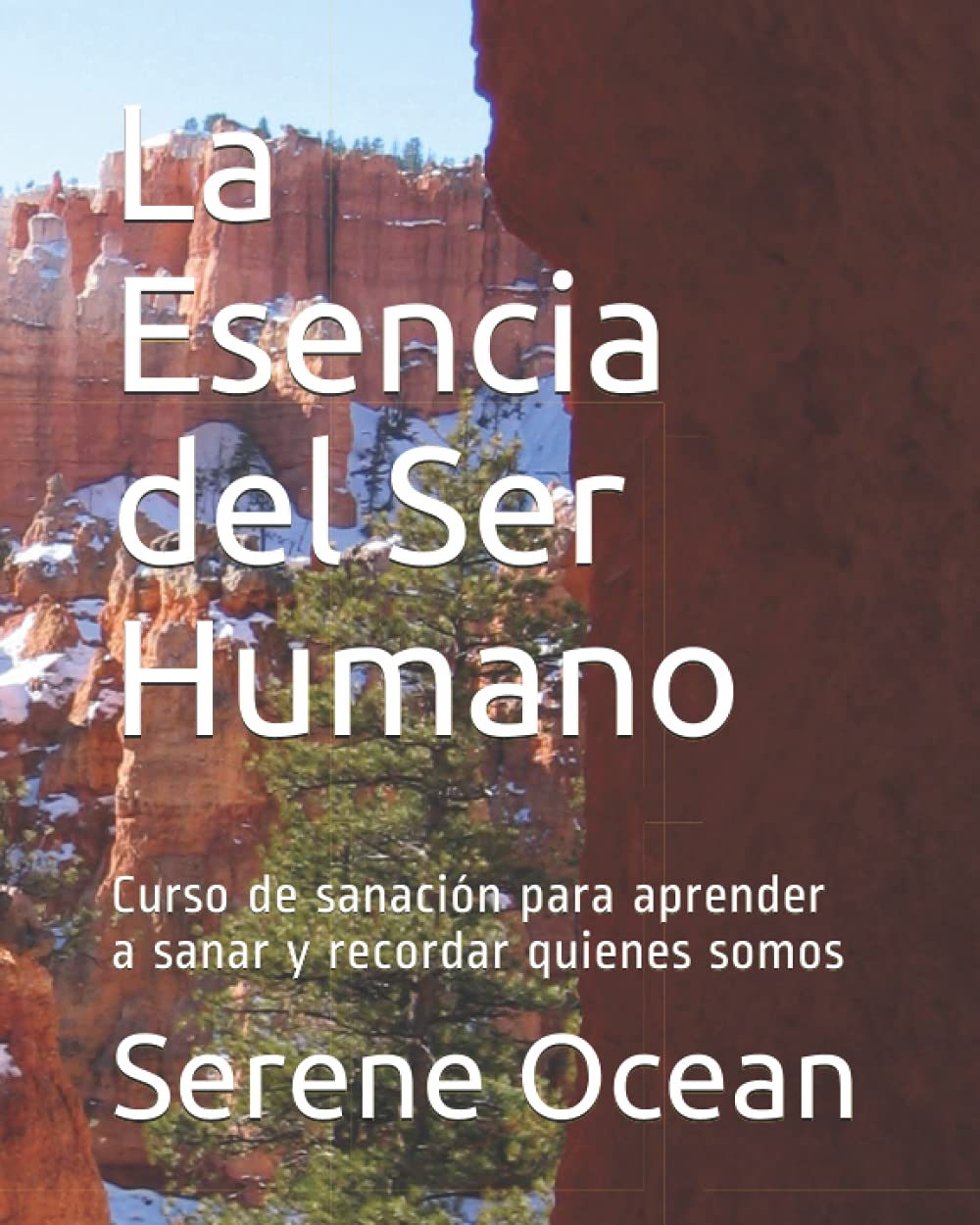La Esencia del Ser Humano: Curso de sanación, aprender a sanar... recordar quienes somos (La Esencia del Cosmos, Band 1) Religion & Esotericism