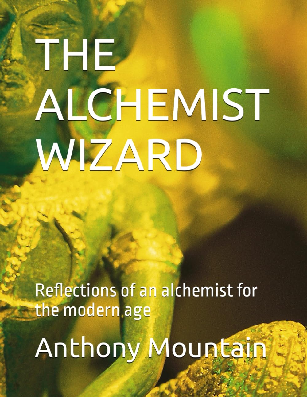 THE ALCHEMIST WIZARD: Reflections of an alchemist for the modern age Philosophy