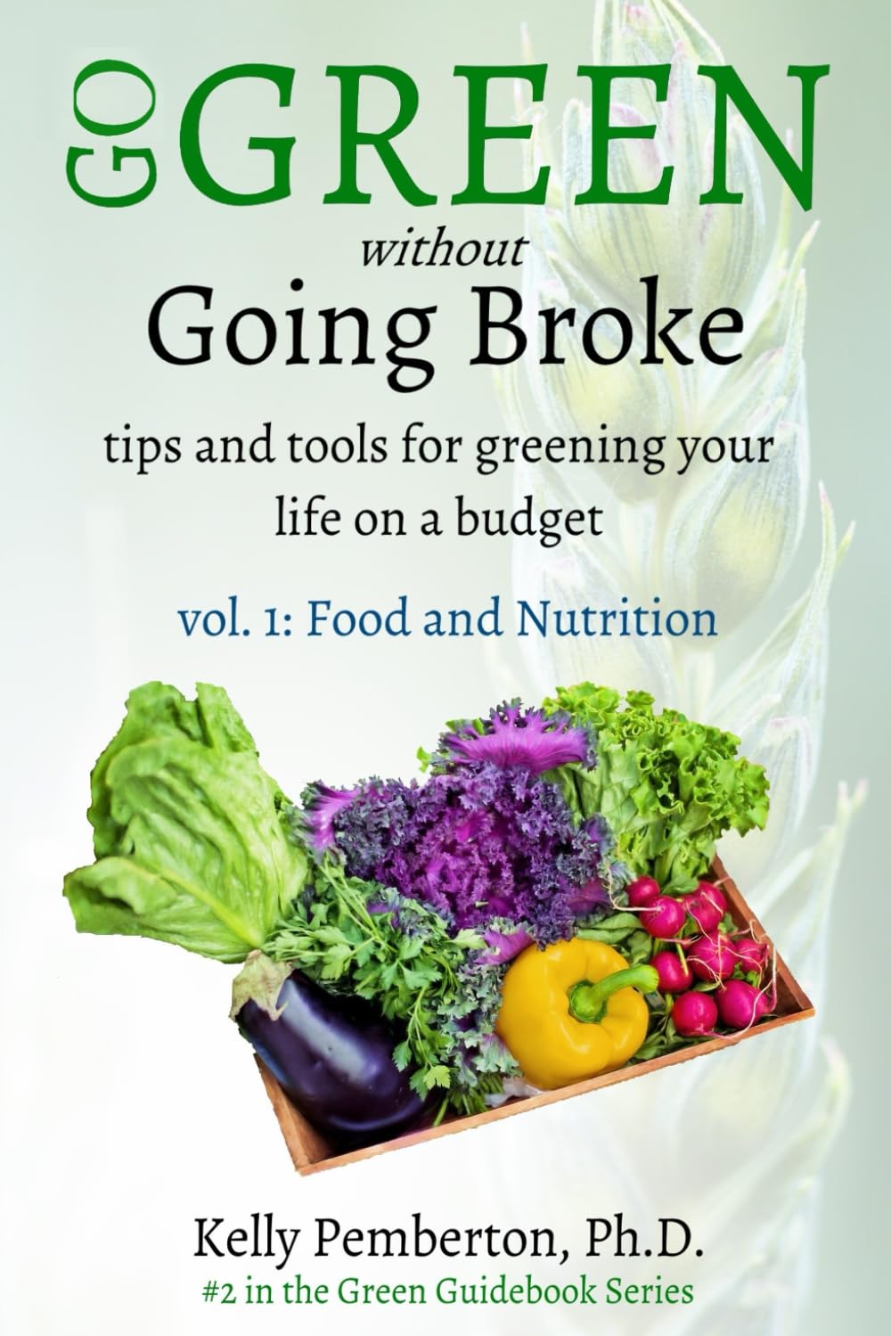 Go Green without Going Broke: tips and tools for greening your life on a budget (The Green Guidebooks, Band 2) Health, Nutrition & Fitness