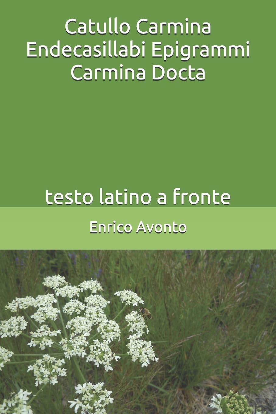 Catullo Carmina Endecasillabi Epigrammi Carmina Docta: testo latino a fronte Poetry