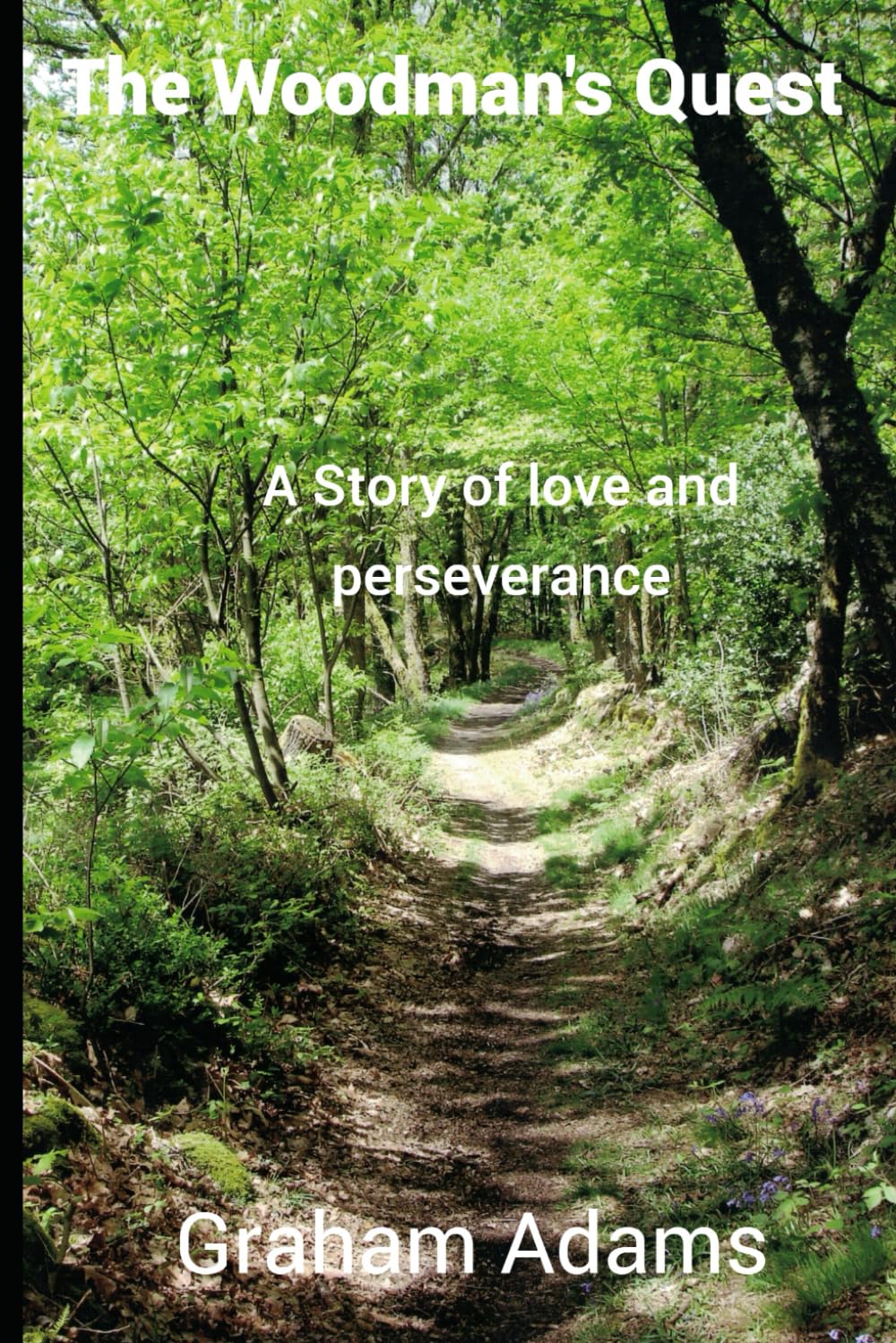 The Woodman's Quest: A Story of love and perseverance (The Mystic Series, Band 5) Contemporary literature Books