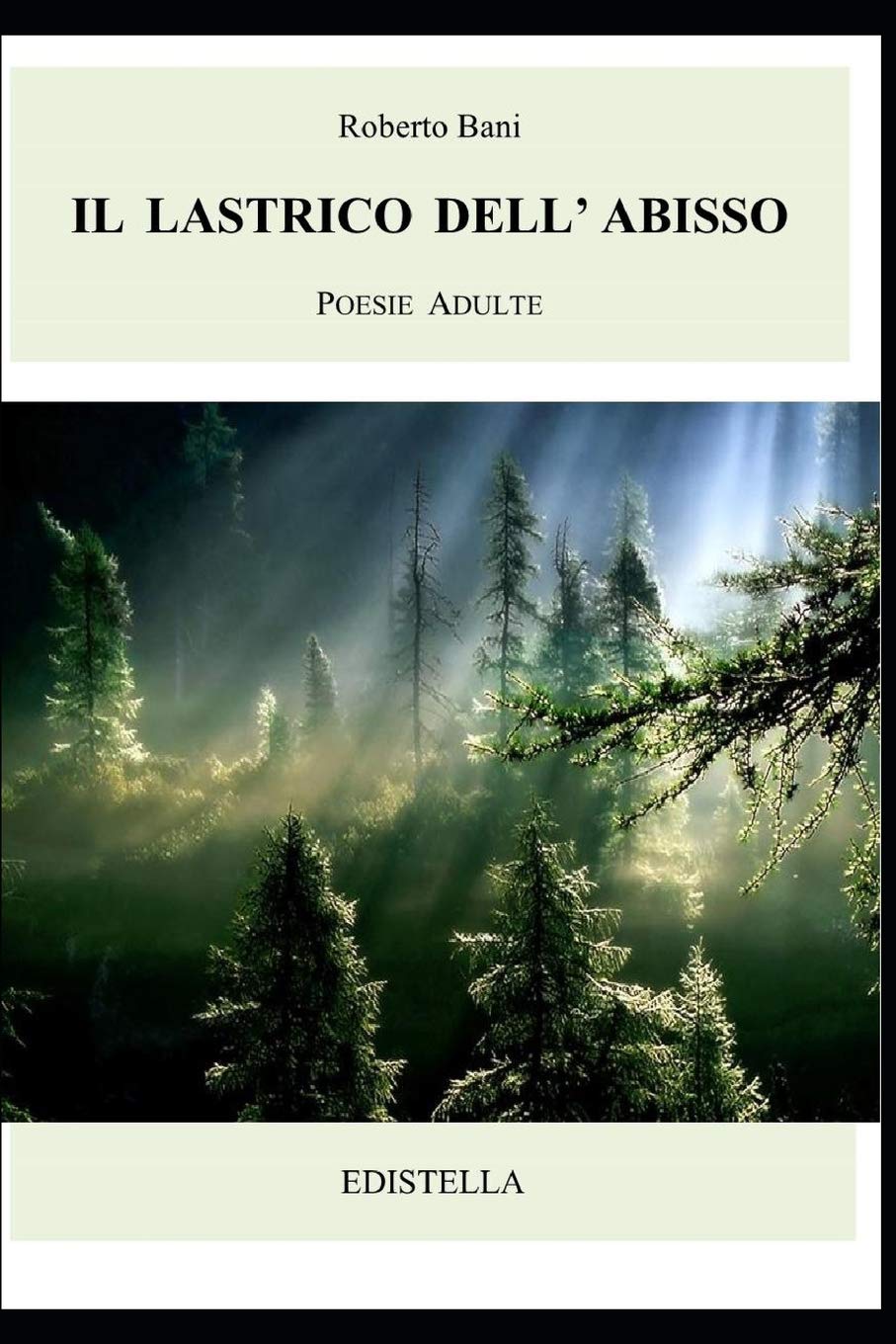 Il Lastrico dell'Abisso: Poesie Adulte (Vivere, Band 2) Philosophy