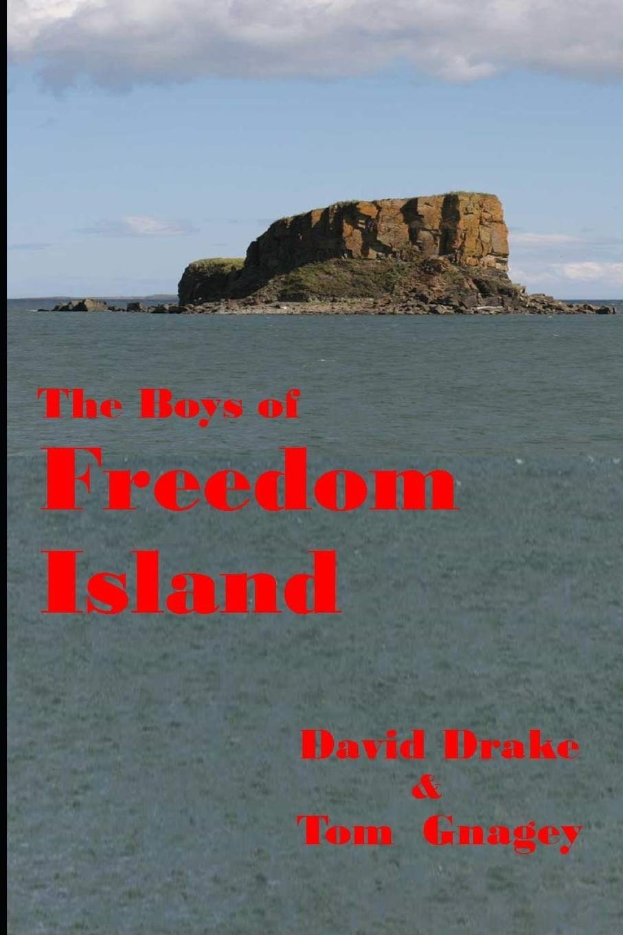 The Boys of Freedom Island Action & Adventure