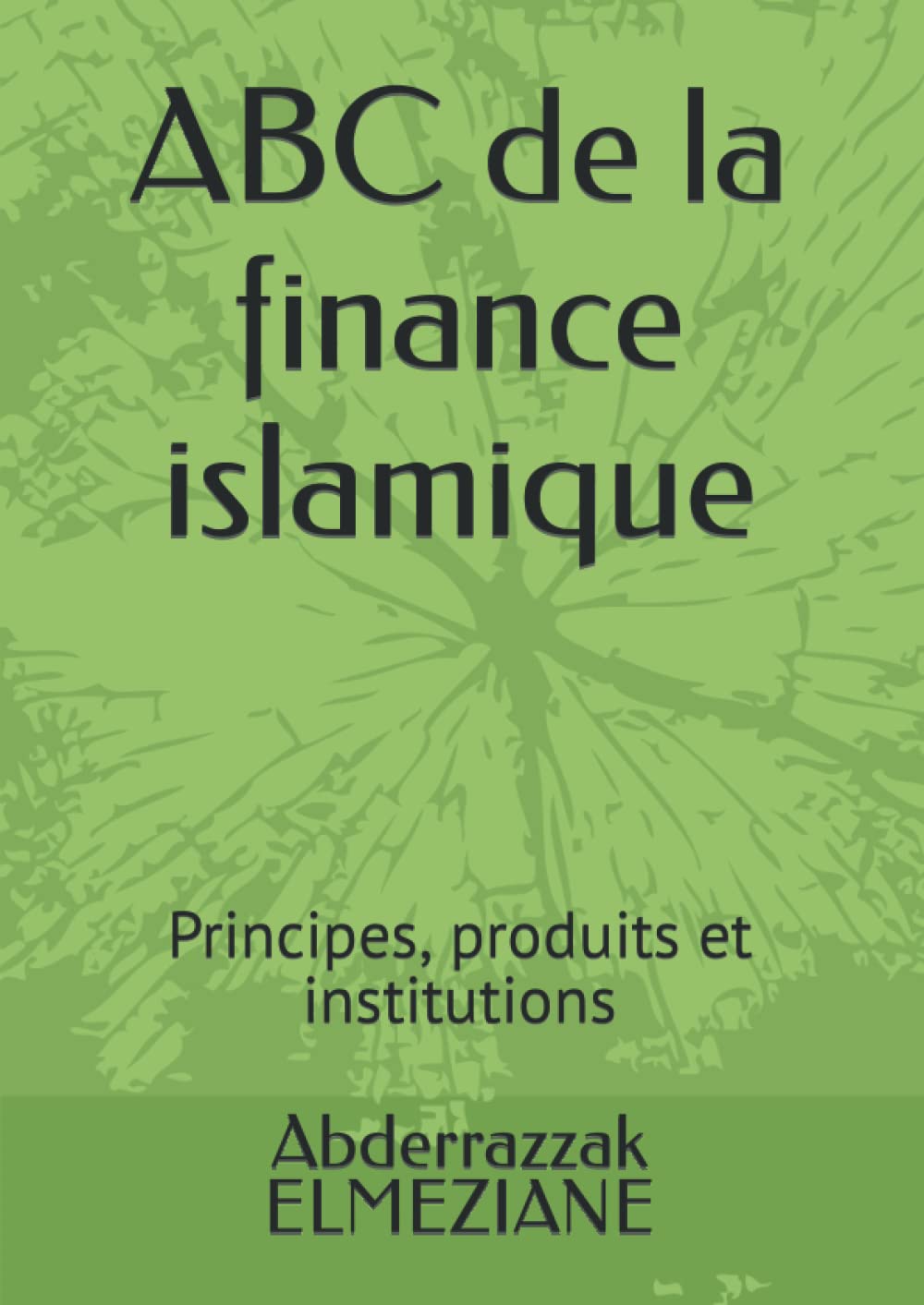 ABC de la finance islamique: Principes, produits et institutions Business, Finance & Career