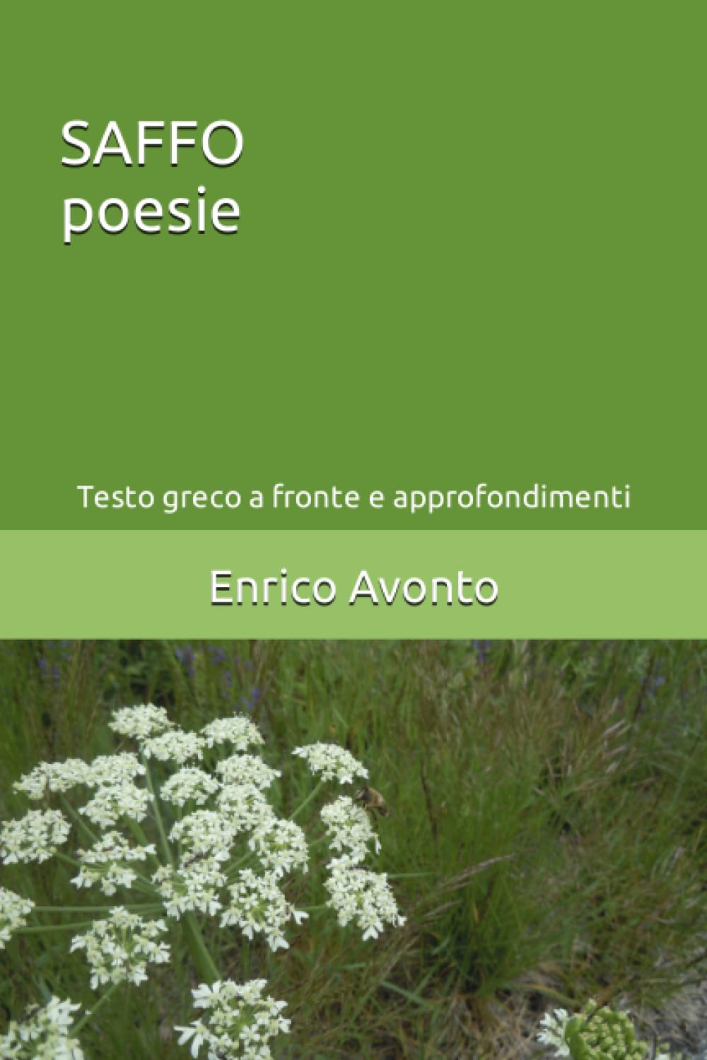 SAFFO poesie: Testo greco a fronte e approfondimenti Poetry