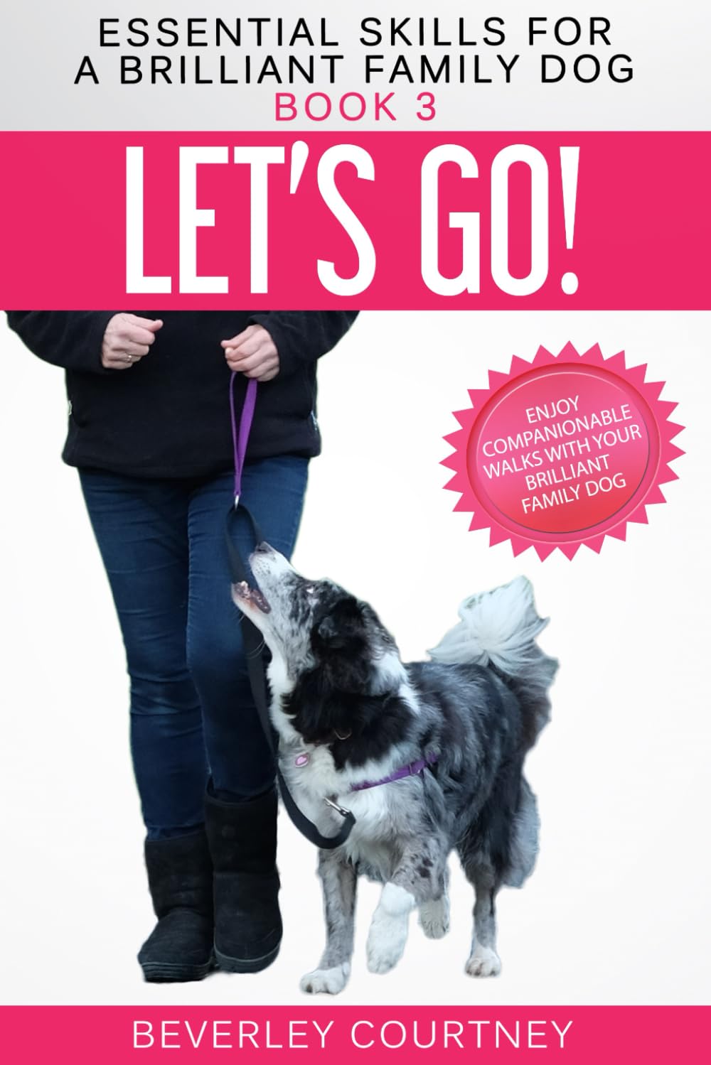 Let's Go!: Enjoy Companionable Walks with your Brilliant Family Dog (Essential Skills for a Brilliant Family Dog, Band 3) Pets