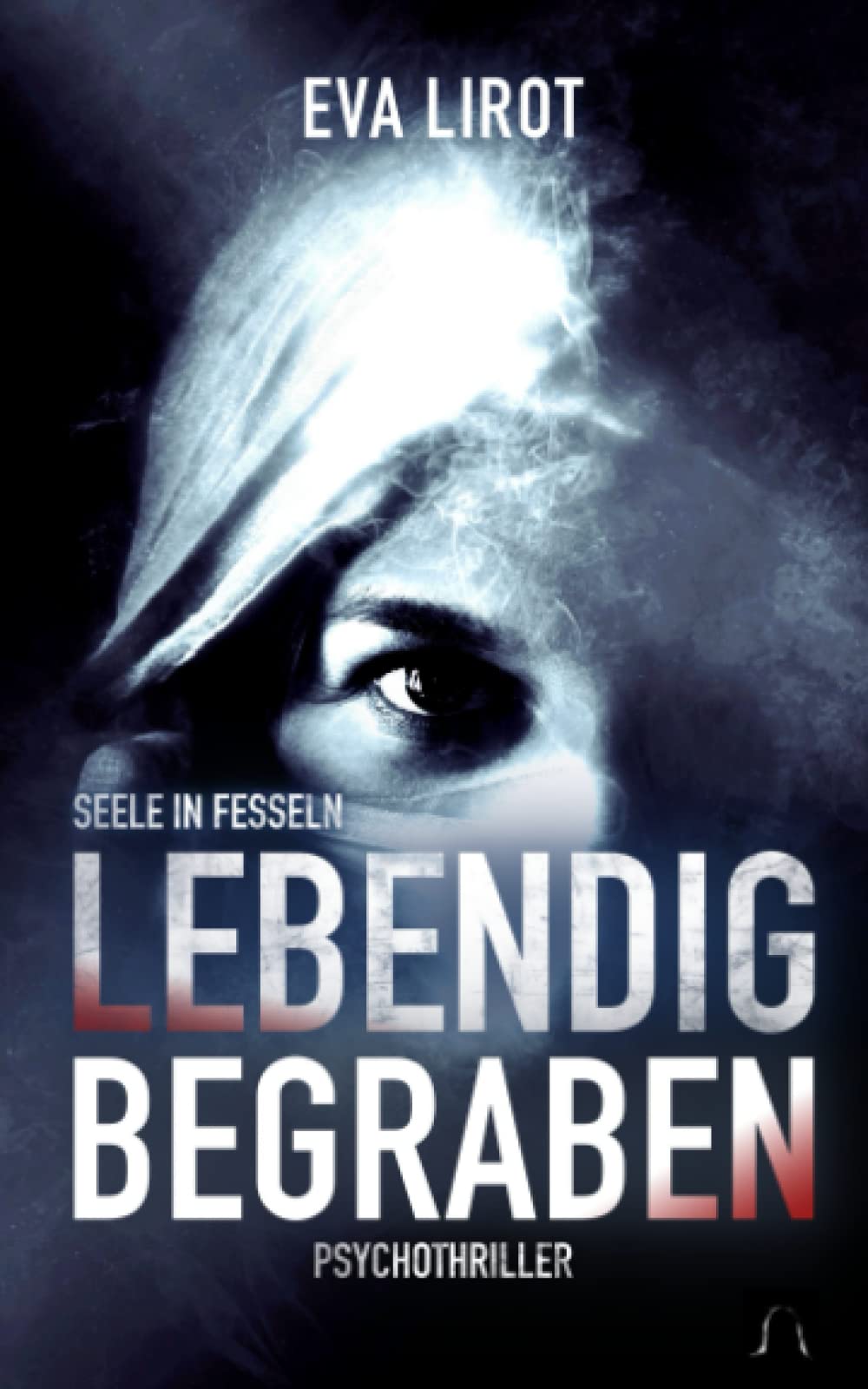 Seele in Fesseln (Jim Devcon Serie, Band 7) Contemporary literature