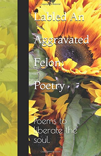 Aggravated Felon: Poetry: Poems to liberate the soul. Poetry