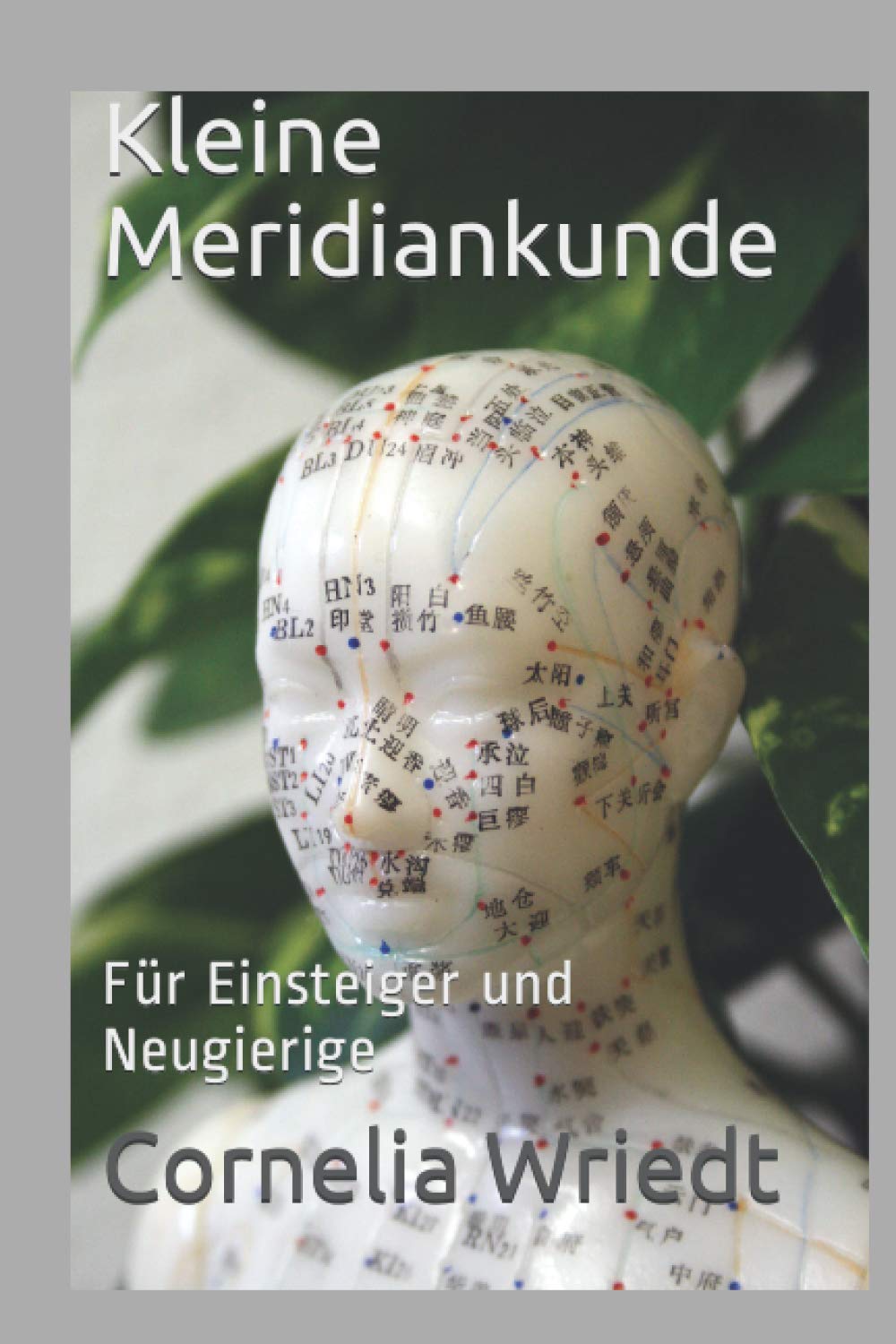 Kleine Meridiankunde: Für Einsteiger und Neugierige Health, Nutrition & Fitness