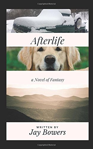 Afterlife: A Novel of Fantasy (Afterlife series, Band 1) Books