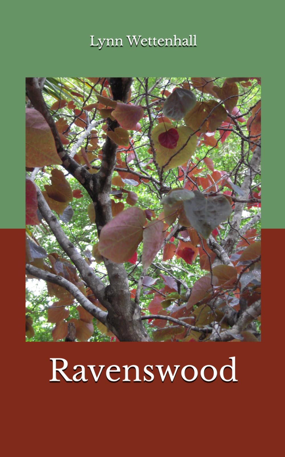 Ravenswood (Brook family series, Band 6) Historical Fiction