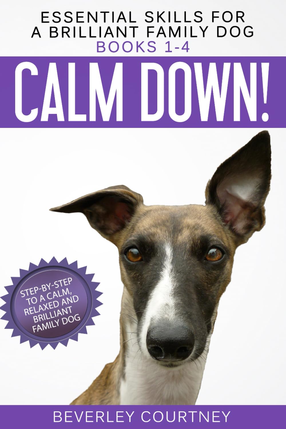 Essential Skills for a Brilliant Family Dog Books 1-4: Calm Down! Leave It! Let's Go! and Here Boy! Pets