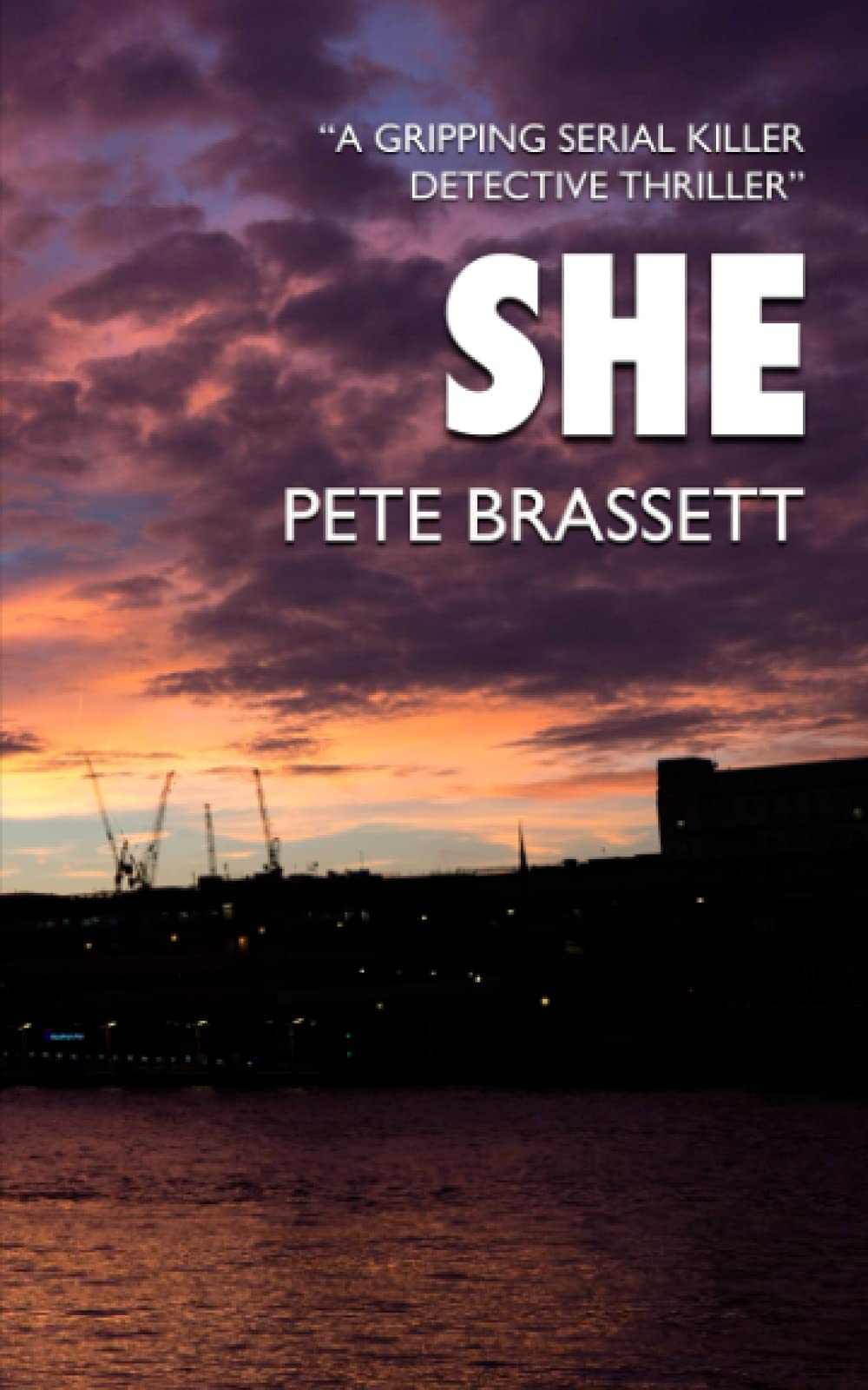 SHE: A gripping serial killer detective thriller (Detective Inspector Munro murder mysteries, Band 1) Detective & CSI