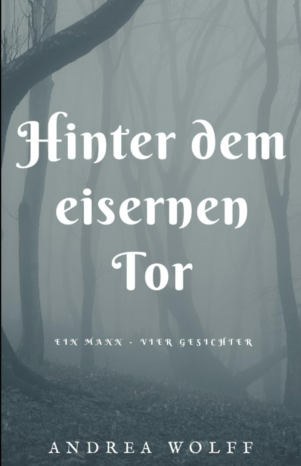 Hinter dem eisernen Tor: Ein Mann - vier Gesichter Contemporary literature Books