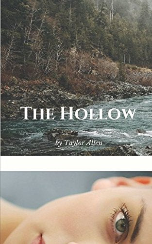 The Hollow (The Hollow Series, Band 1) Books