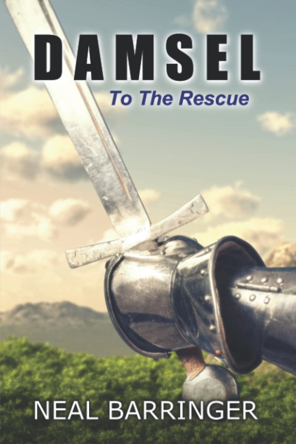 Damsel To The Rescue (Damsel in Shining Armor, Band 1) Contemporary literature