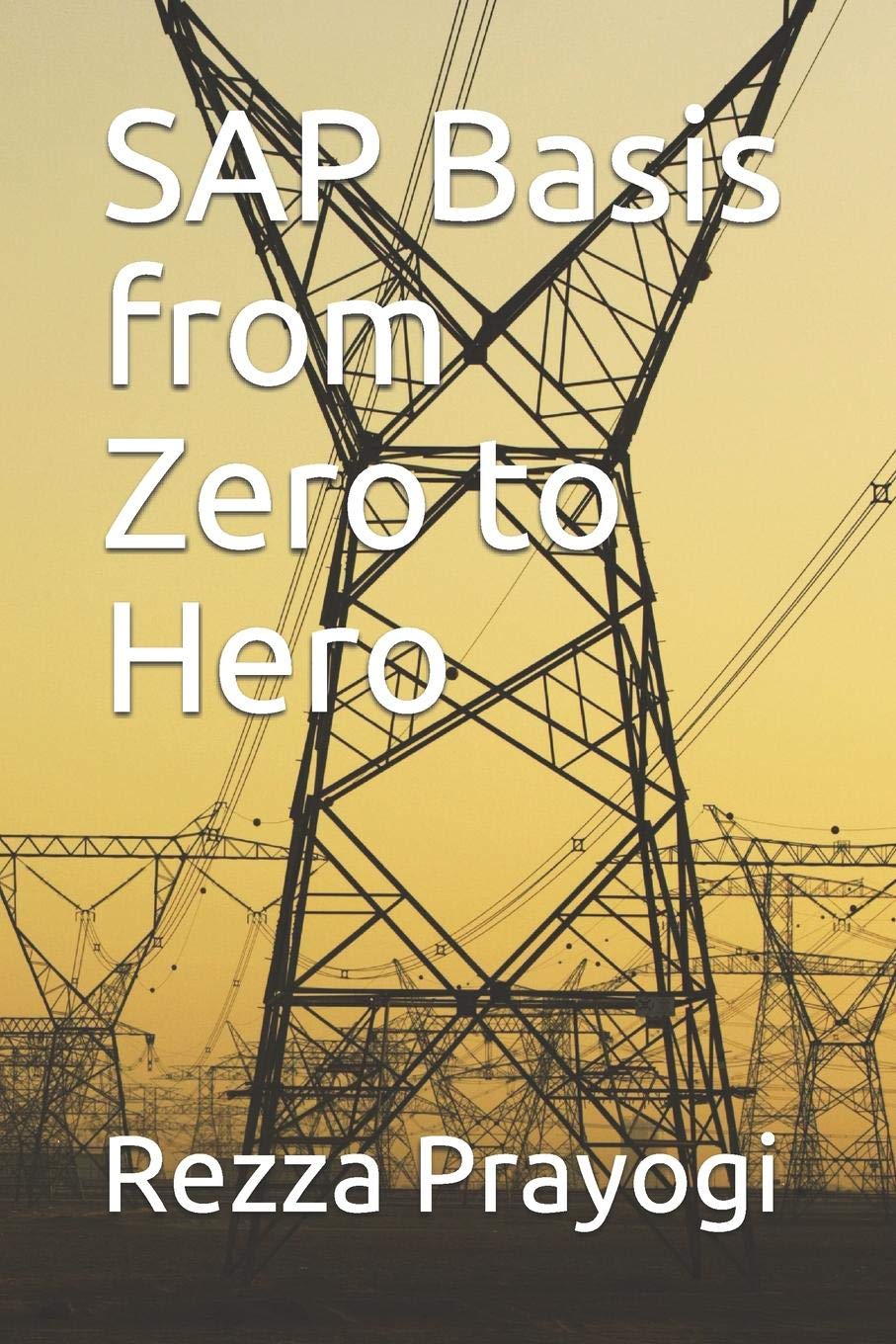 SAP Basis from Zero to Hero Computer Science Books