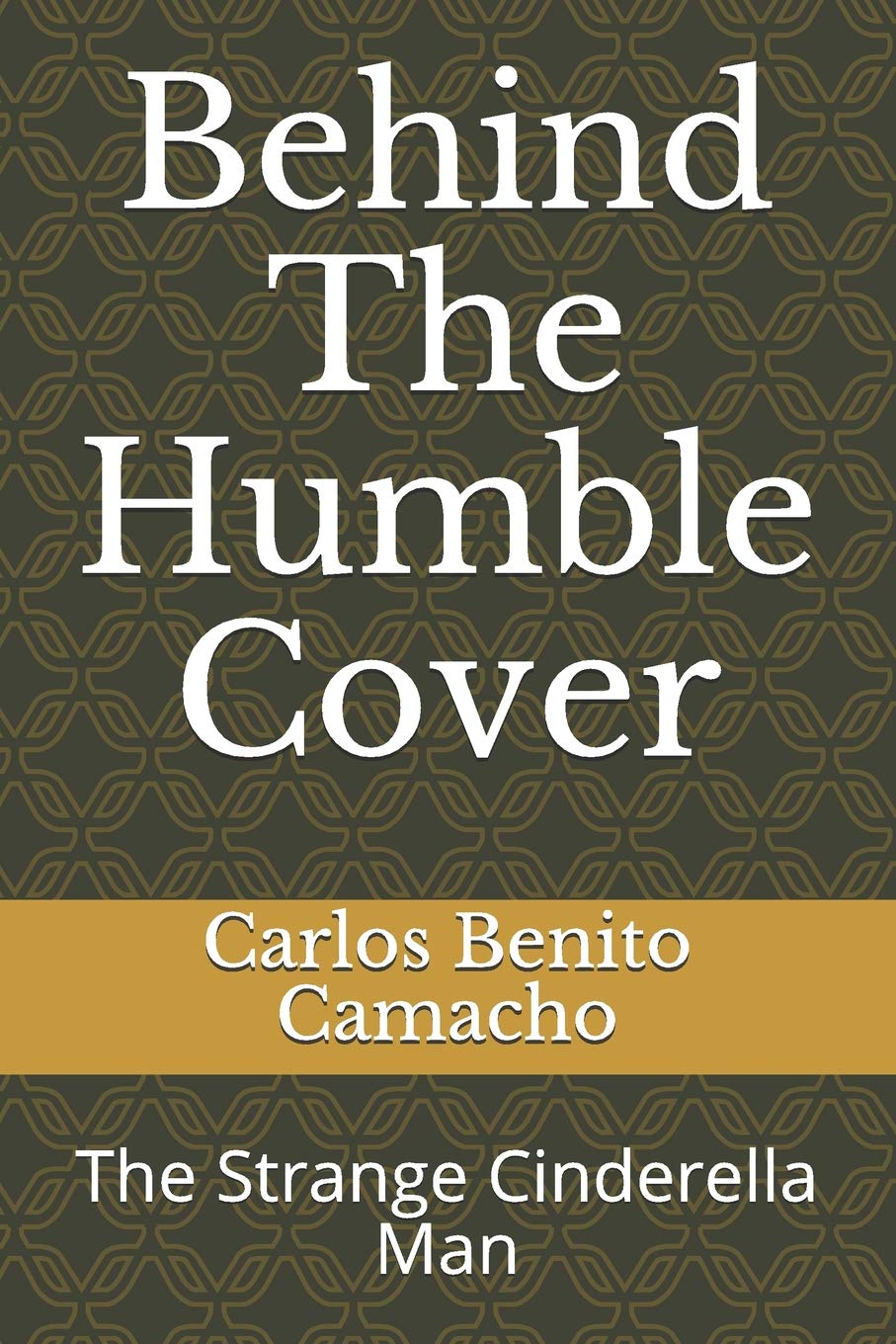 Behind The Humble Cover: The Strange Cinderella Man Contemporary literature