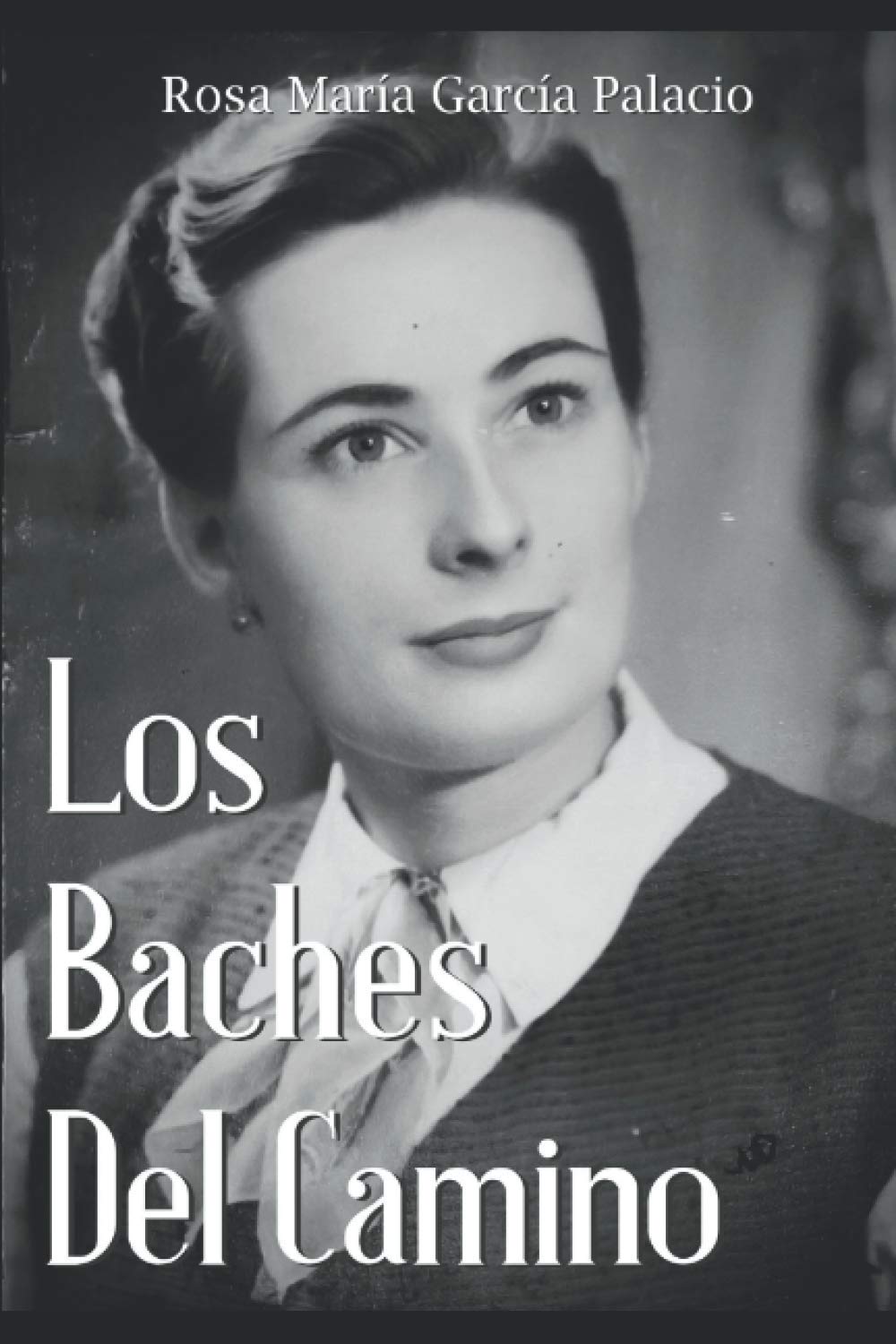 LOS BACHES DEL CAMINO book