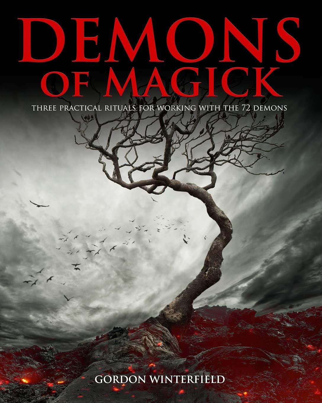 Demons of Magick: Three Practical Rituals for Working with The 72 Demons (The Gallery of Magick) book