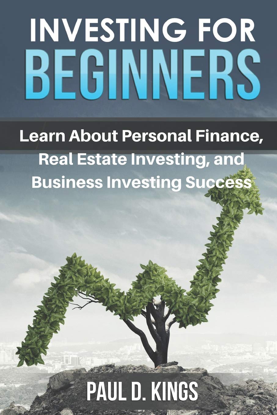 Investing for Beginners: Learn About Personal Finance, Real Estate Investing, and Business Investing Success Business, Finance & Career